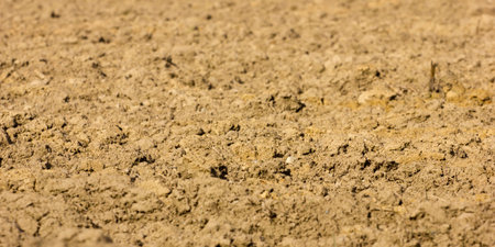 Agricultural land