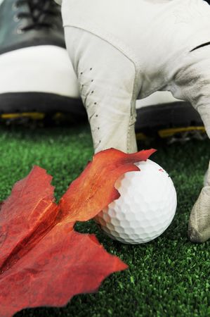 picking golf ballの写真素材