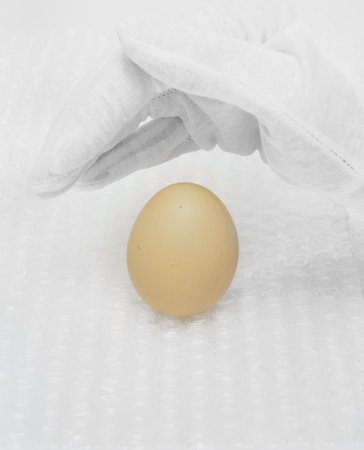 egg under hand shelter