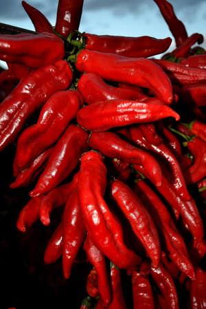 pepperの写真素材