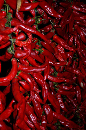 pepper curtainの写真素材