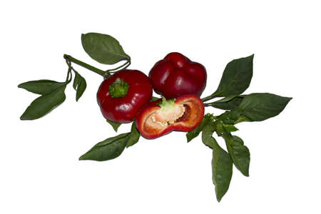 Fresh Pepper Vegetablesの写真素材