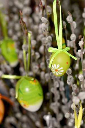 Green Easter Eggs Hanging on willow s catkinの写真素材