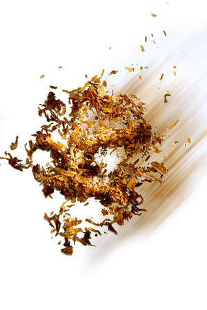 Tobacco skullの写真素材