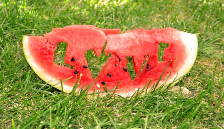 Fresh juicy watermelon sliceの写真素材