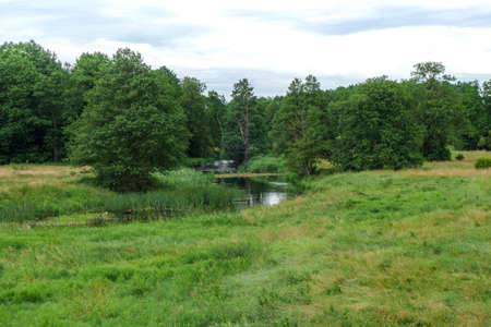 Calm river flowing through the meadow into the forestの写真素材