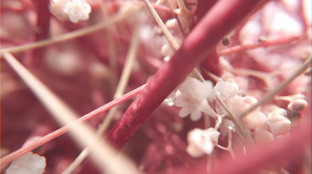 Close-up of a bunch of small pink flowers in a vaseの素材