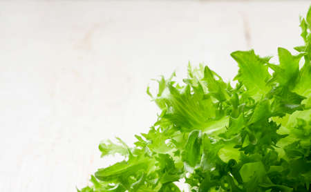 Fresh green lettuce leafs,  on a light backgroundの写真素材