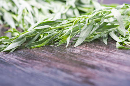 Fresh tarragon on wooden cutting board, closeupの写真素材