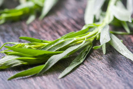 Fresh tarragon on wooden cutting board, closeupの写真素材
