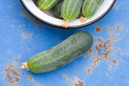 Fresh cucumbers. Selective focusの写真素材