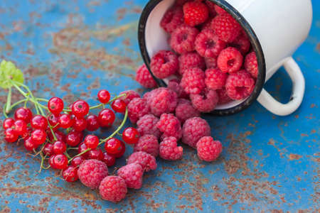 Raspberry and red currants  in a bowl close-up, selective focusの写真素材
