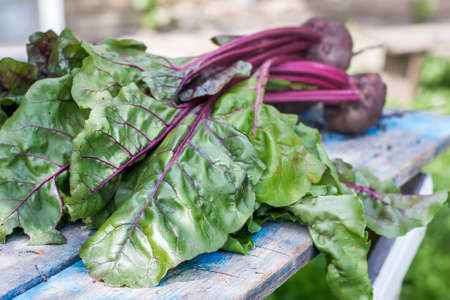 Beet leaves on vintage wooden background, selective focus.  Natural day light.の写真素材