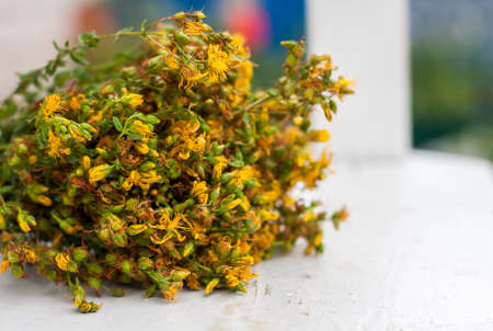 big bunch  yellow flowers Hypericum on white background. Selective focusの写真素材