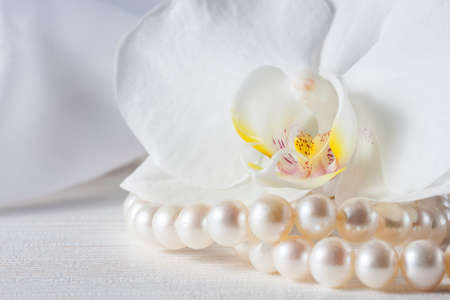 Orchid flower with a pearl necklace. Selective focus, macroの写真素材