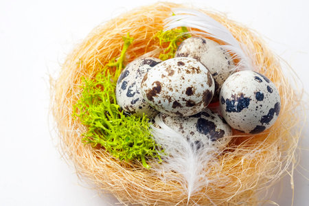 quail eggs in nests on white background. Selective focus