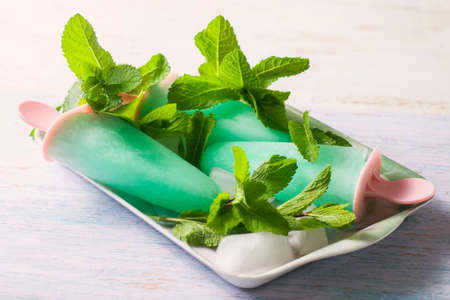 Homemade fruit ice, mint sorbet. Selective focusの写真素材
