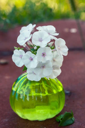 vintage round vase  white  phloxes. Selective focusの写真素材
