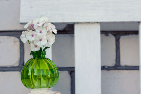vintage round vase  white  phloxes. Selective focusの写真素材
