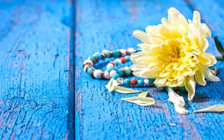 yellow flower chrysanthemum on blue wooden background. Selective focusの写真素材