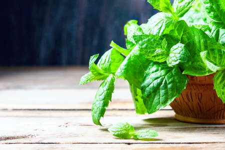 Juicy, fresh, aromatic green mint on the wooden table, selective focusの写真素材