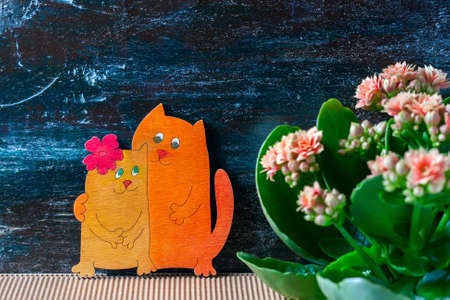 Enamoured cats, Valentine's day. Pink kalanchoe flowers. Selective focusの写真素材