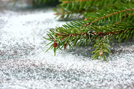 Christmas tree branch on a wooden wall over old dark wooden table or board. Space for text.の写真素材
