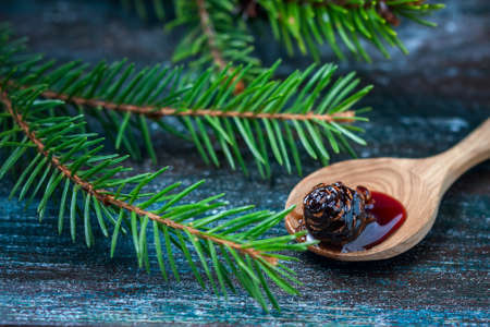 Home-made Jam made from pine cones, for improving immunity. Selective focus.の写真素材