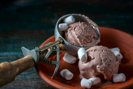 Homemade chocolate ice cream with marshmallow on rustic wooden background. Selective focusの写真素材