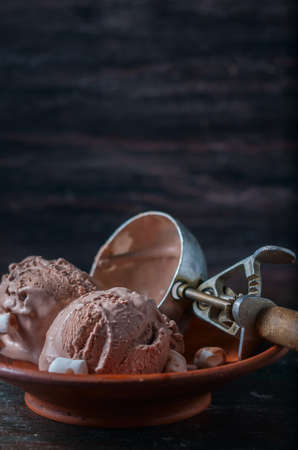 Homemade chocolate ice cream with marshmallow on rustic wooden background. Selective focusの写真素材