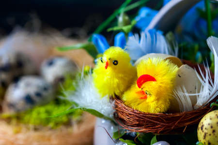 Easter composition, Quail eggs on the old wooden background. Soft focusの写真素材
