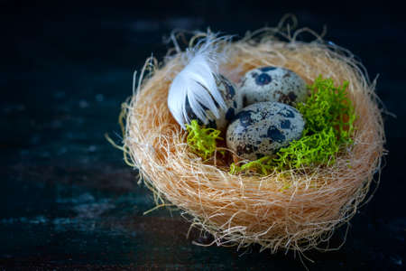 Easter composition, Quail eggs on the old wooden background. Soft focusの写真素材