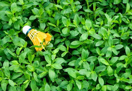 yellow shuttlecock for badminton on green grass. Selective focusの写真素材