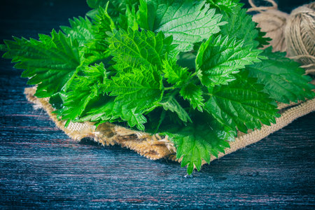 Fresh nettle on a dark background. Selective focus