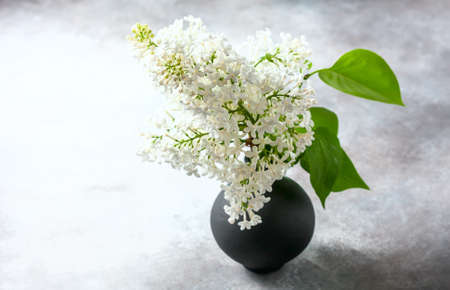 Bouquet of a white lilac on a concrete background. Selective focusの写真素材