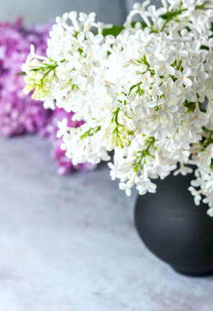 Bouquet of a white lilac on a concrete background. Selective focusの写真素材