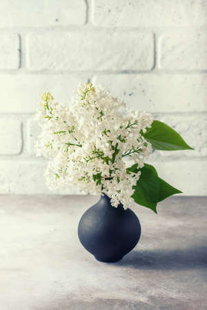 Bouquet of a white lilac on a concrete background. Selective focusの写真素材