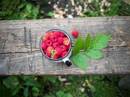 Ripe raspberries on a wooden table. Selective focusの写真素材