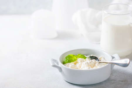 Homemade cottage cheese in a white bowl on a light background. Hの写真素材
