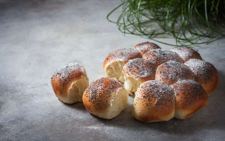 Homemade challah bread. Traditional breadの写真素材