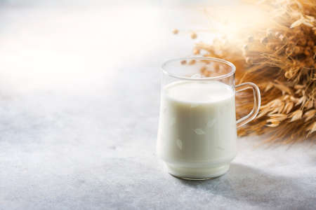 Lactose-free oat milk in a glass cup on a light background. Allergic food concept.の写真素材