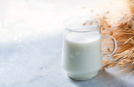 Lactose-free oat milk in a glass cup on a light background. Allergic food concept.の写真素材