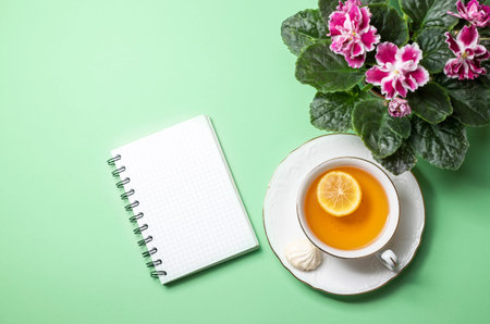 Flowering Saintpaulias, commonly known as African violet and a cup of tea with lemon close-up....
