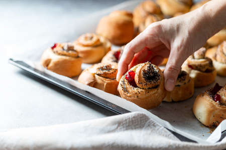 Homemade baking. Traditional bun with poppy seeds and sugar. Selective focus.の写真素材