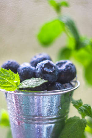 Blueberries, juicy wild berries in drops of water. Healthy food or nutrition. Selective focus, copy spaceの写真素材