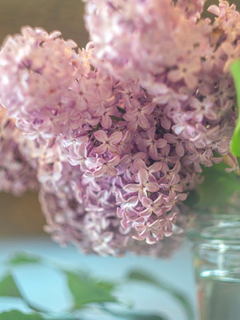 Macro beautiful lilac flowers. Macro flowers on a vintage Helios lens. Selective focus. Can be used...