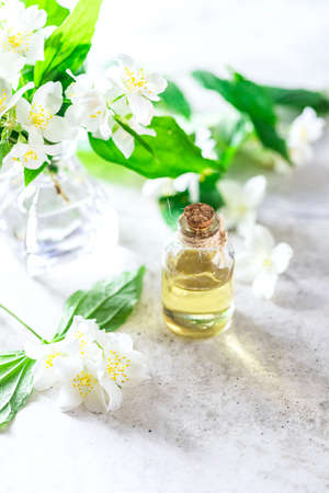 Aromatic oil in glass bottle with fresh jasmine flowers on a light gray concrete background. Flower essential oil, osmetic oil perfume . Spa concept. Selective focus. Bannerの写真素材