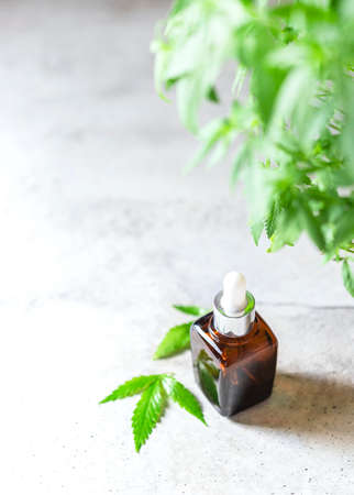 Glass bottles of hemp oil with hemp leaves. Selective focusの写真素材