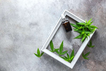 Composition of mint cosmetic products in a jar and green leaves of plants on a white wooden table background. Natural cosmetic. Flat lay, top view.の写真素材