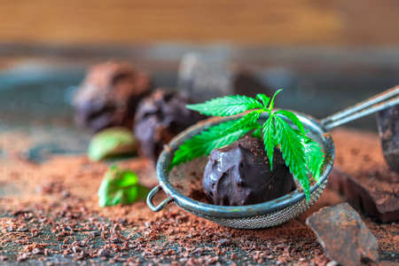Delicious chocolate truffles with cannabis herb, cocoa powder and dark chocolate on a dark wooden background.の写真素材
